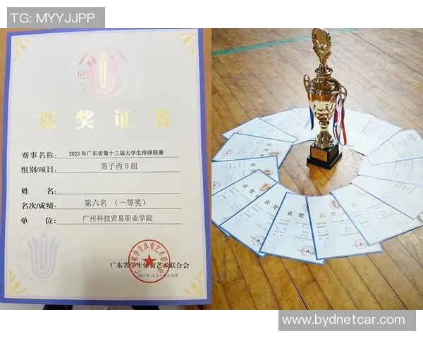 广州排球队心理素质提升之路：热议排球背后的心灵变革与团队精神